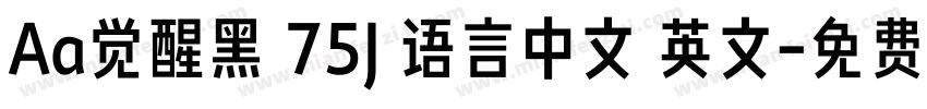 Aa觉醒黑 75J 语言中文 英文字体转换